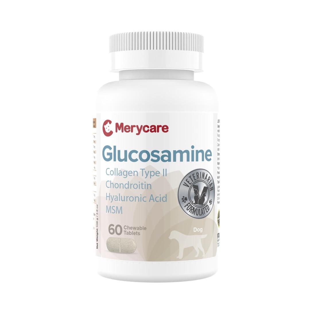 Chewable Glucosamine Tablets with Collagen Chondroitin MSM 60 Count T432