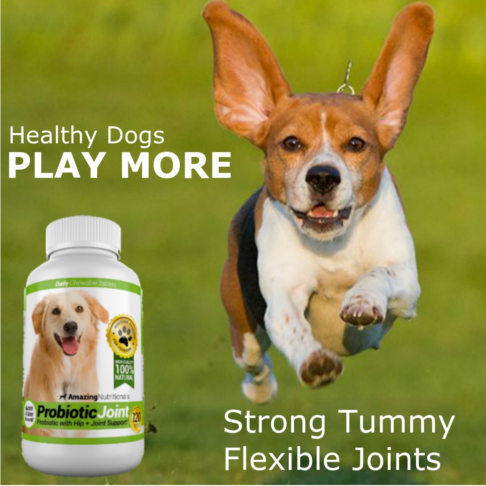 Probiotics for Dogs 120 Chews F6619