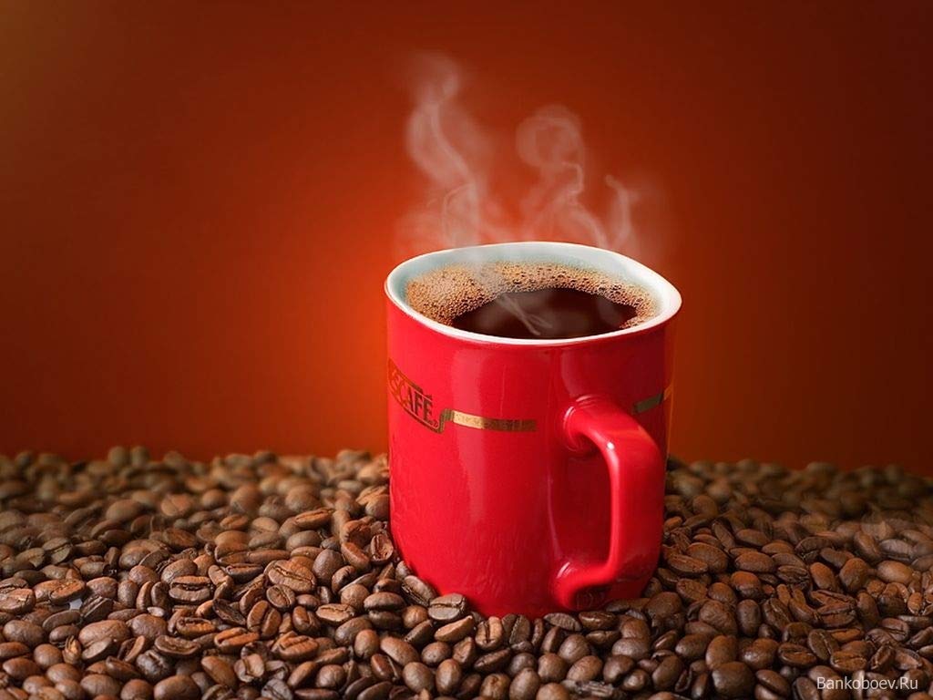 Instant Coffee 14 Ounce X594518