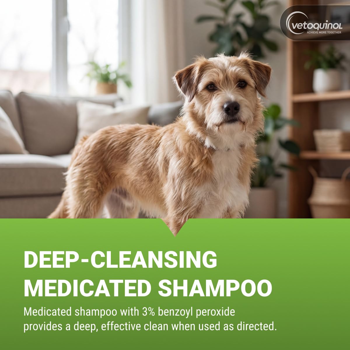 16oz 3% Benzoyl Peroxide Medicated Shampoo V361133