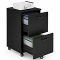 2 Drawer Black Wood File Cabinet B253