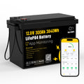 12V 300Ah LiFePO4 Battery with 200A BMS Q969