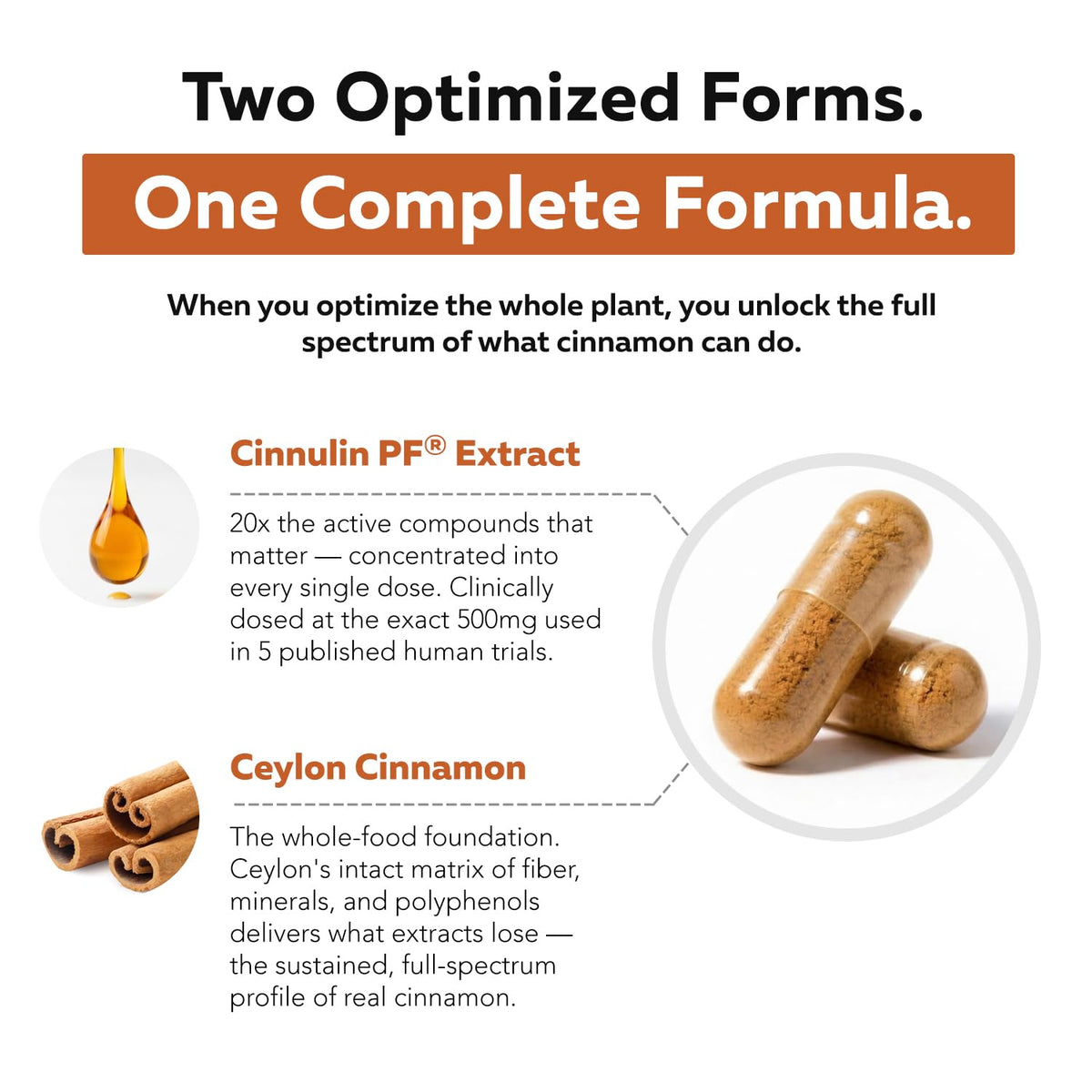 Cinnamon 1000mg Extract 60 Vegan Capsules U247234