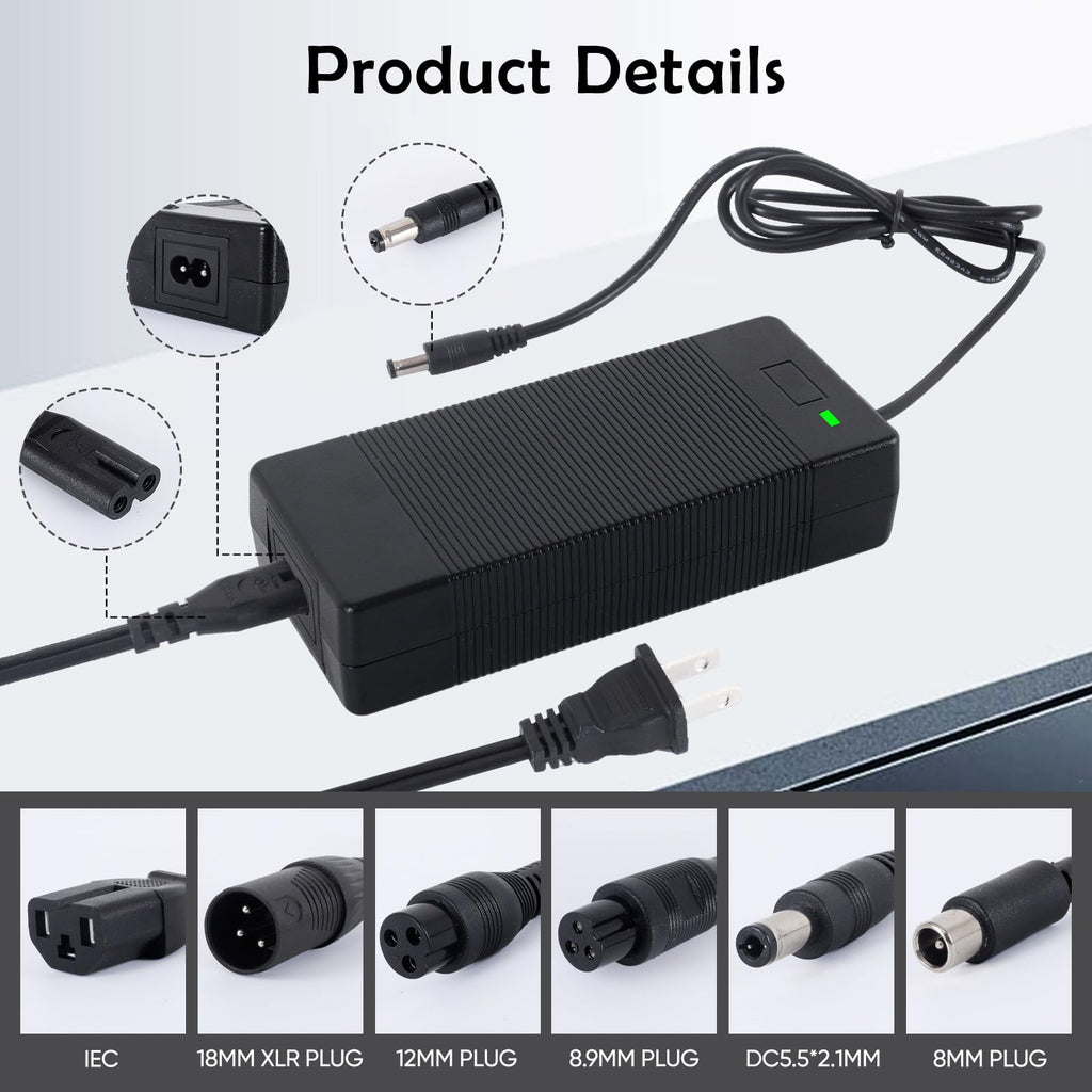 42V 2A 6-Prong Charger S989929