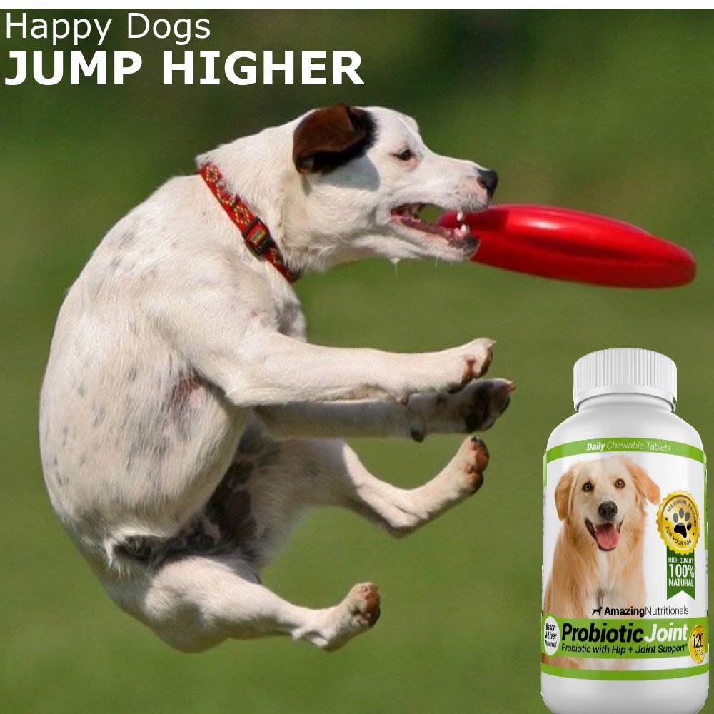 Probiotics for Dogs 120 Chews F6619
