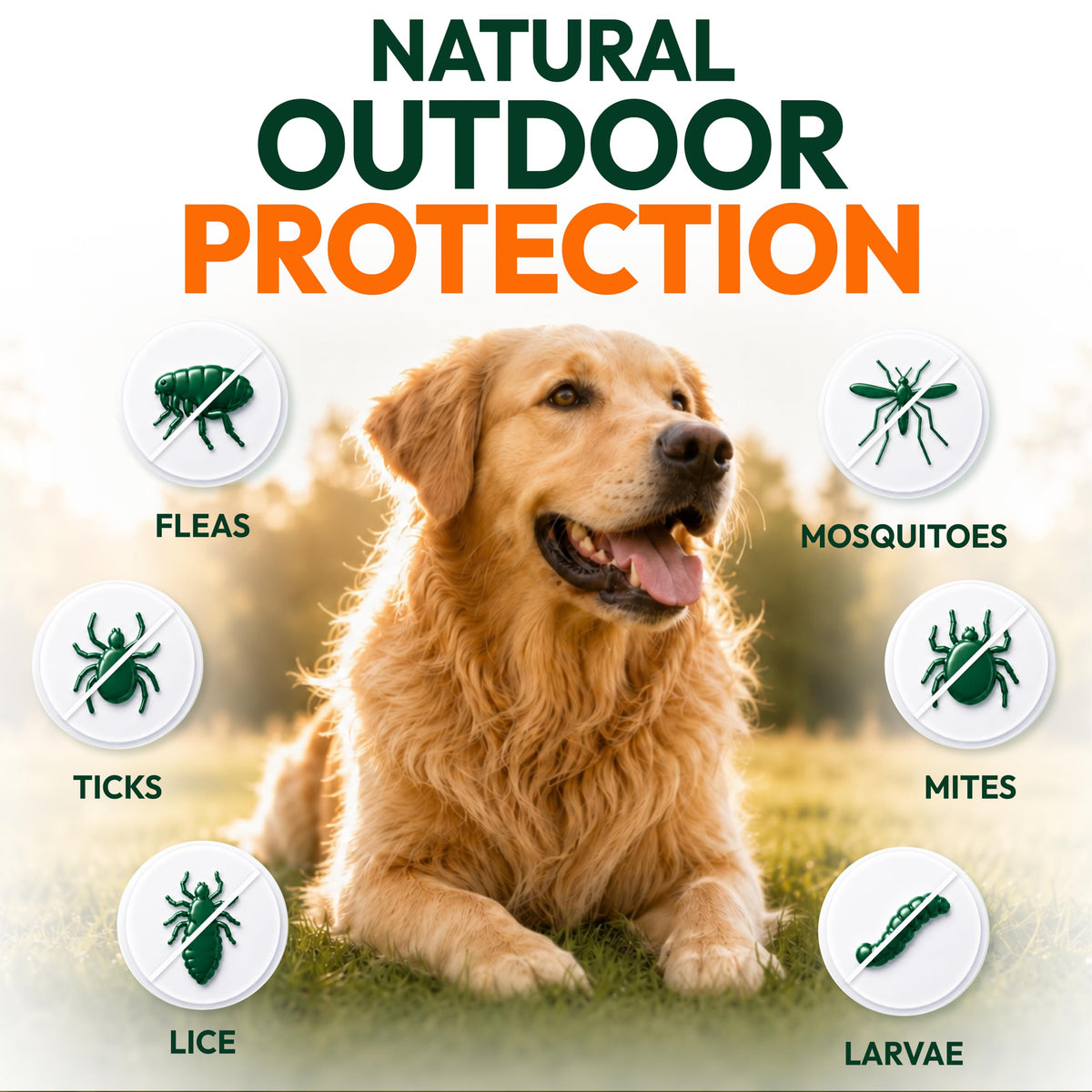 Flea and Tick Prevention for Dogs Soft Chewables P165