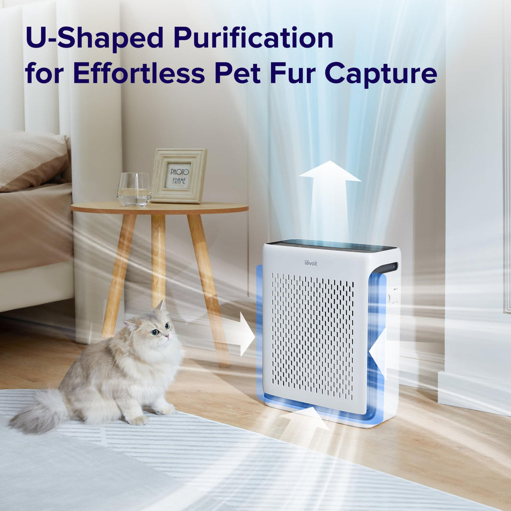 Air Purifier with Washable Pre-Filter X895943