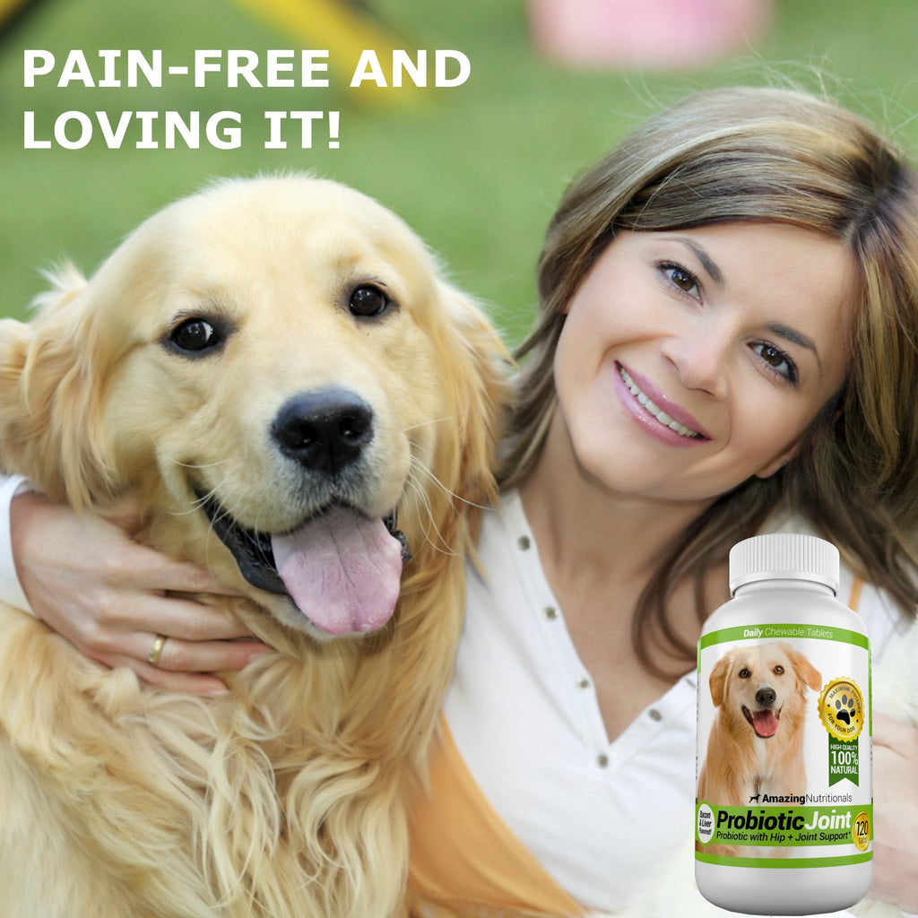 Probiotics for Dogs 120 Chews F6619