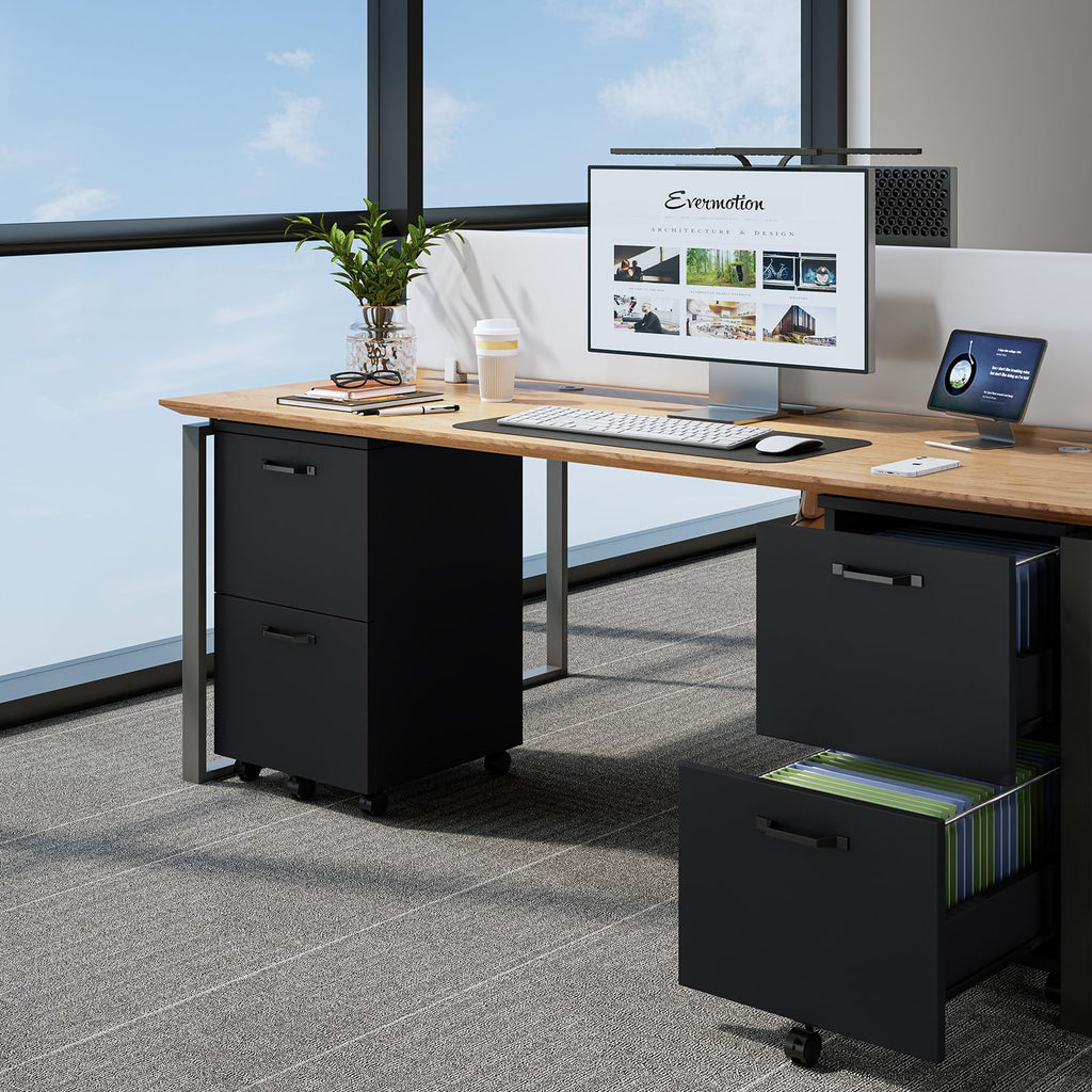 2 Drawer Black Wood File Cabinet B253