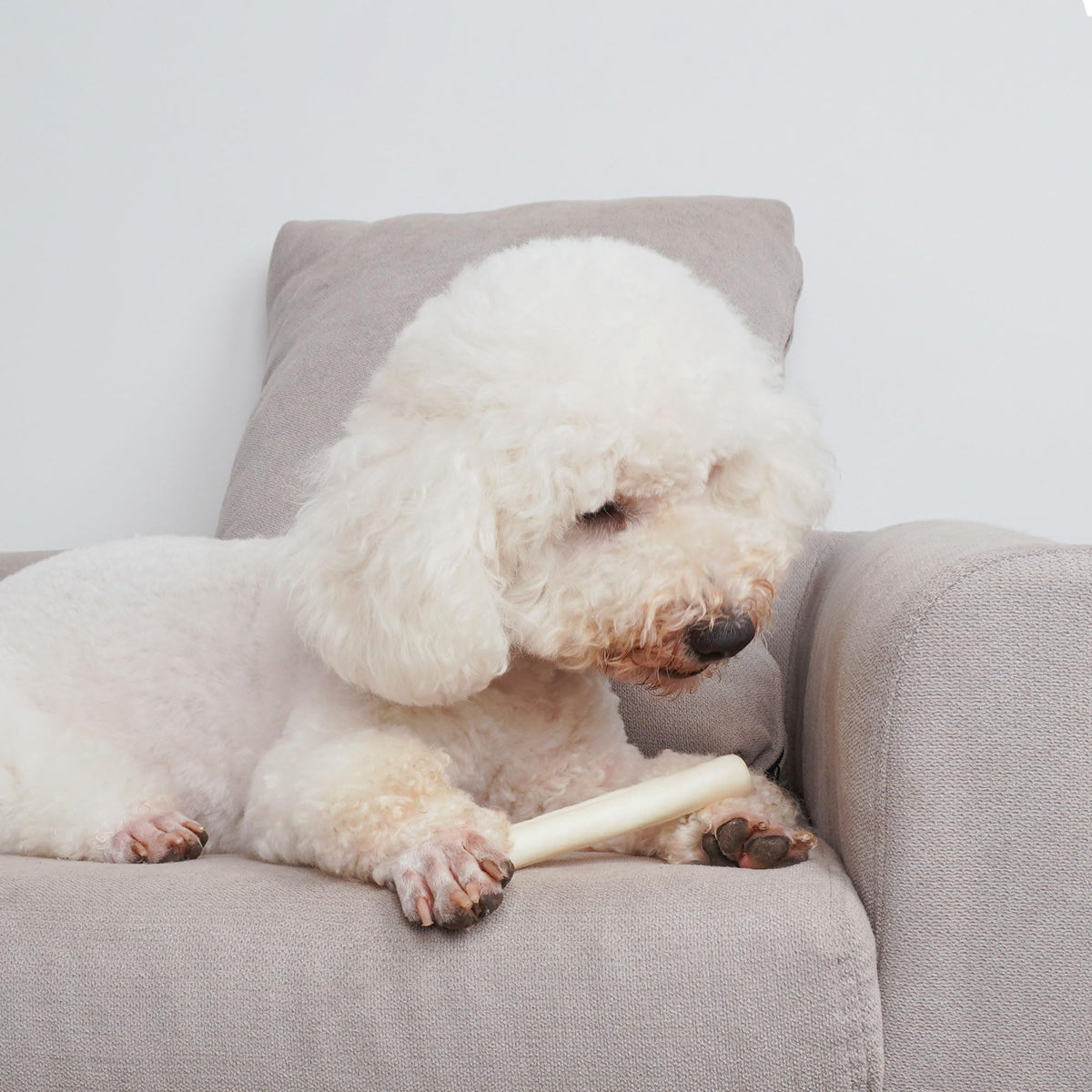 6Inch Natural Flavor Rawhide Rolls Dog Treats O92010