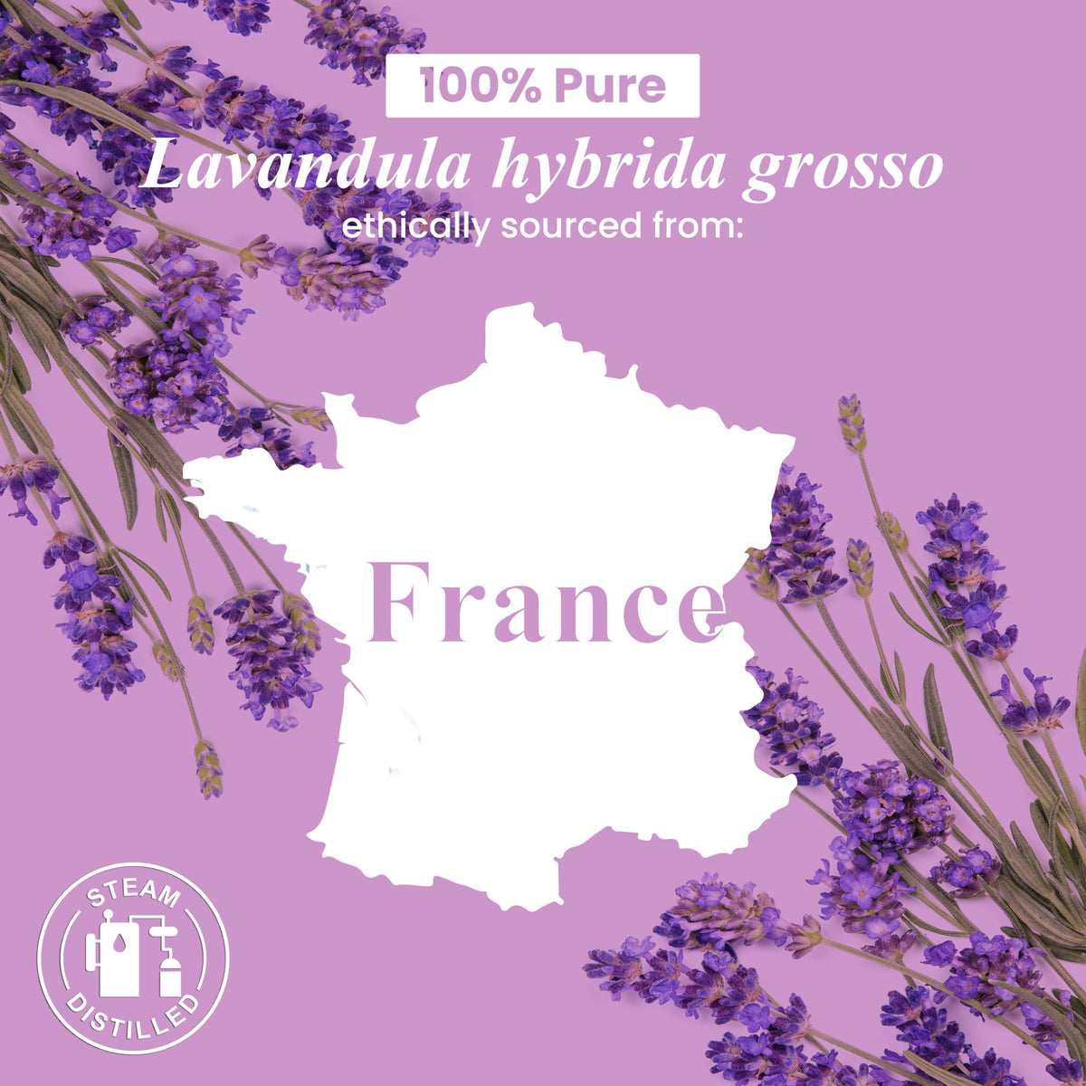 Lavender and Orange Essential Oils 2 x 4 Fl Oz D10038