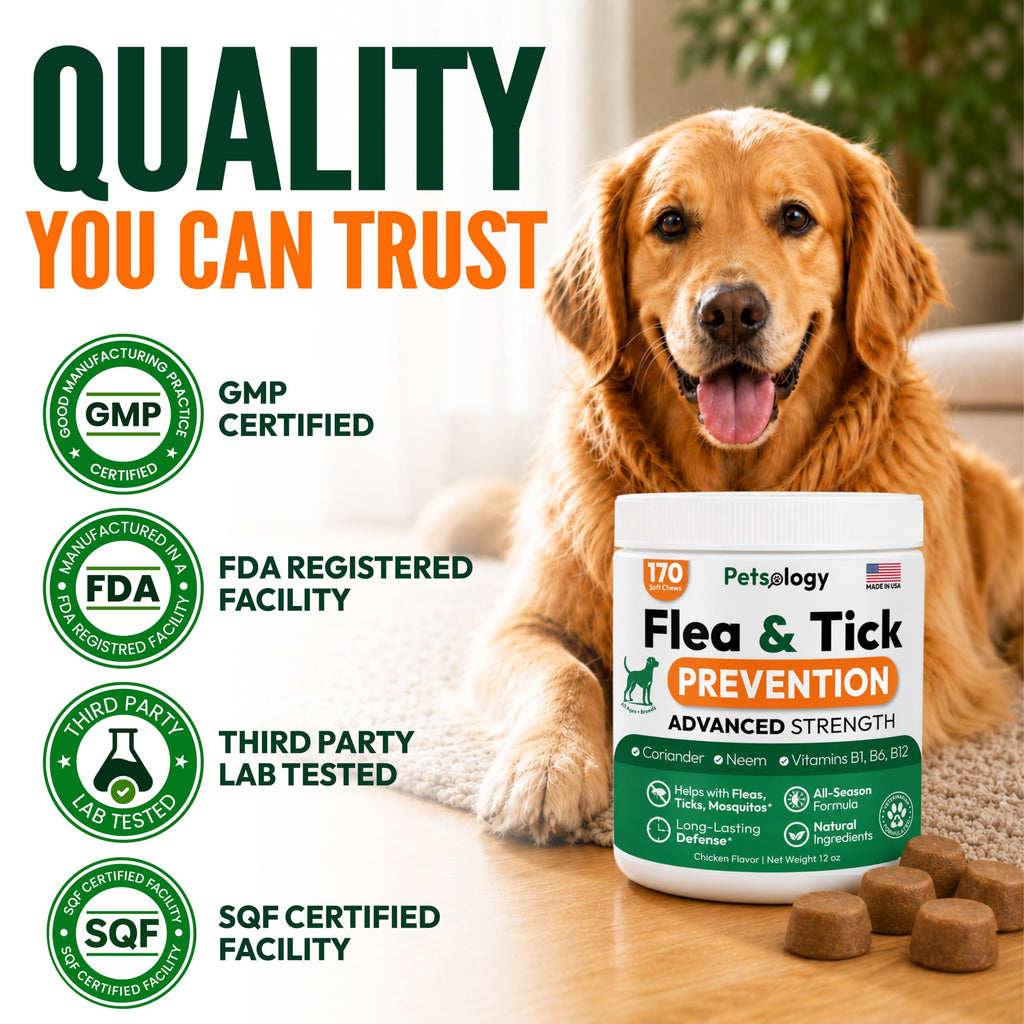 Flea and Tick Prevention for Dogs Soft Chewables P165