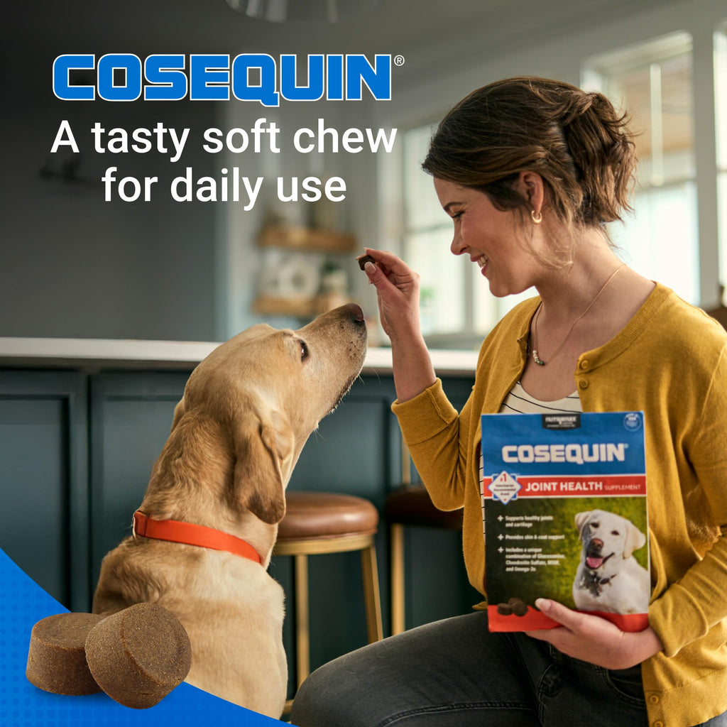 Dog Joint Supplement Soft Chews 60ct X38824